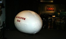 Alligator Motorcycle at Peterson Auto Museum in the Egg