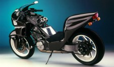 Alligator Motorcycle Photo Shoot