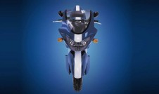Alligator Motorcycle Photo Shoot