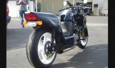 Alligator Motorcycle with Stripe, Back